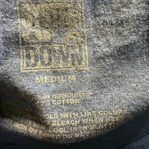 System Of A Down Vintage "Toxicity" Graphic Tee, Charcoal Gray, Unisex Medium - Picture 3 of 3